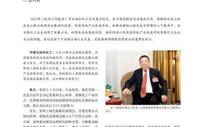 打破傳統(tǒng)走綠色轉(zhuǎn)型之路——訪十四屆全國(guó)人大代表、寶泰隆新材料股份有限公司董事長(zhǎng)焦云